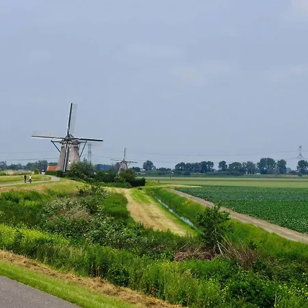 Bed & Breakfast Bed & Breakfast Zuidplas 3*